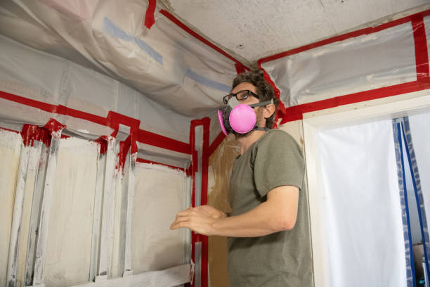  Duncannon, PA Mold Removal Pros