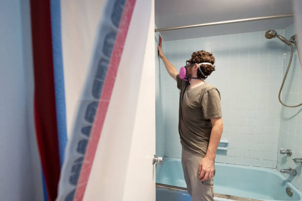 Best Attic Mold Removal  in Duncannon, PA