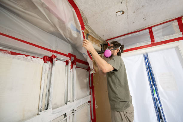 Best Emergency Mold Remediation  in Duncannon, PA