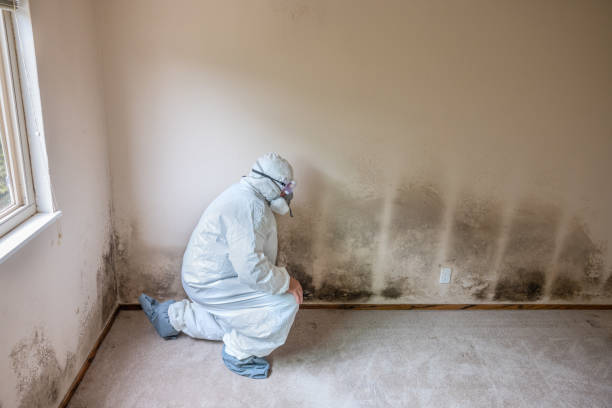Best Commercial Mold Inspection  in Duncannon, PA